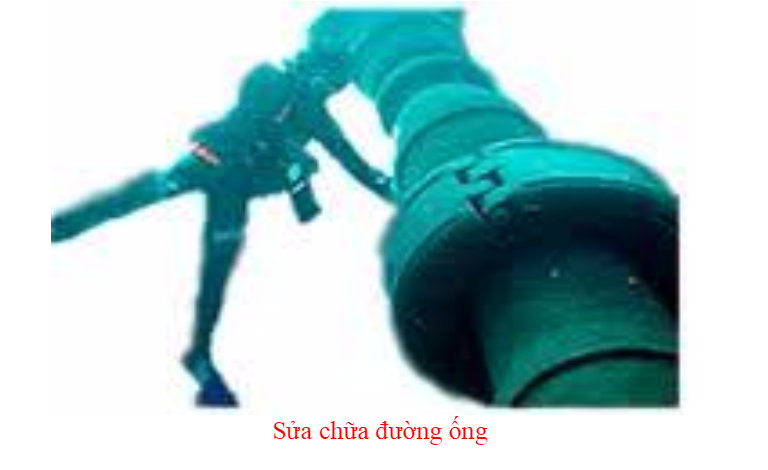 "Phạm
