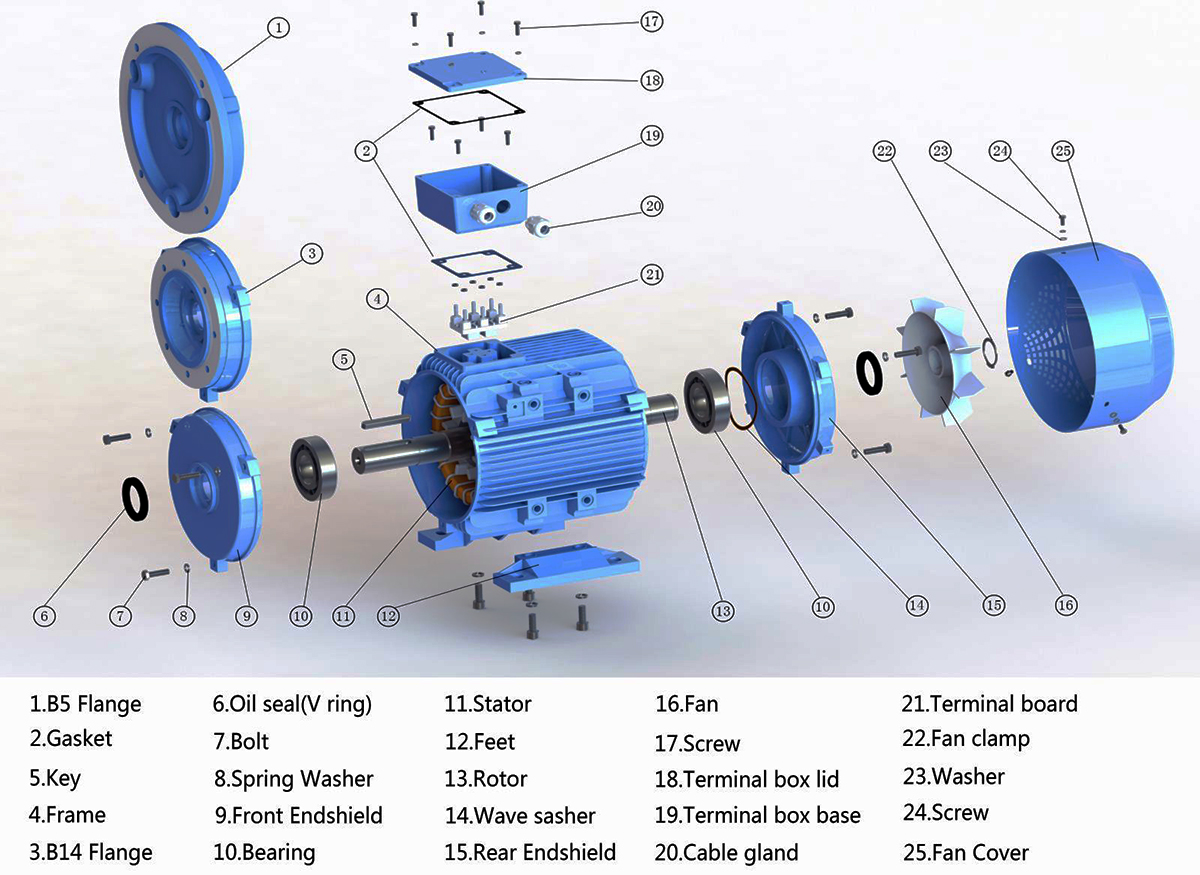 "motor