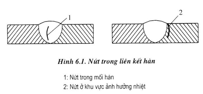 "nut-1.png"